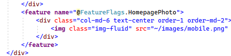 feature flag code